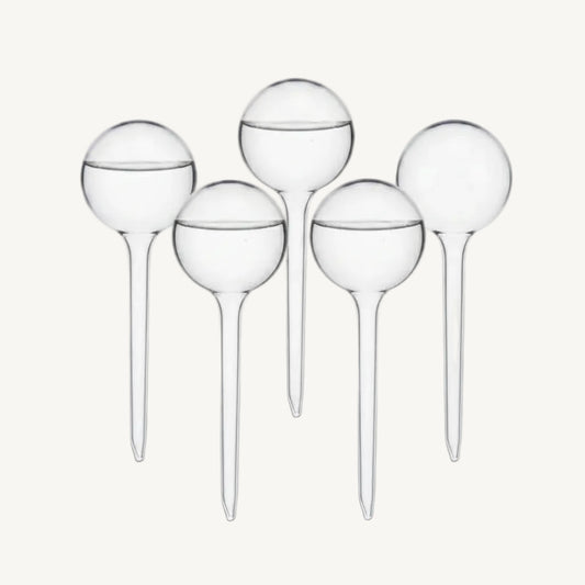 Globes d'Arrosage Jardin Tranquille