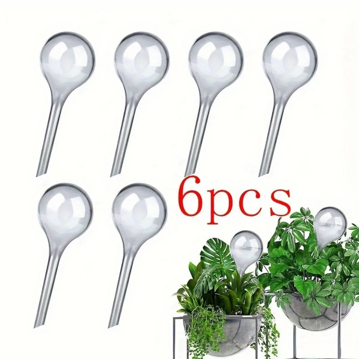 Globes d'arrosage x6